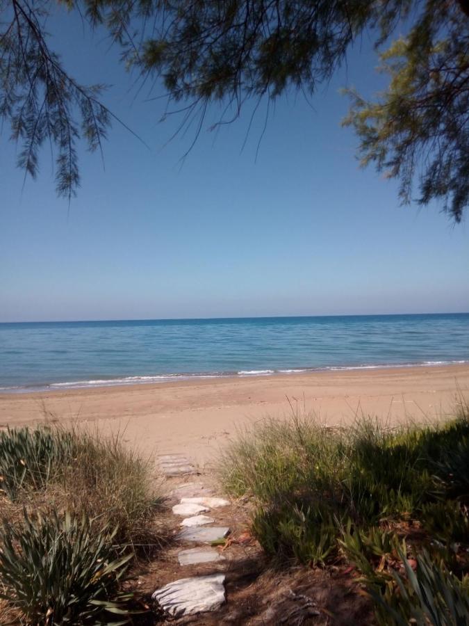 Hotel Διεθνές 扎哈罗 外观 照片